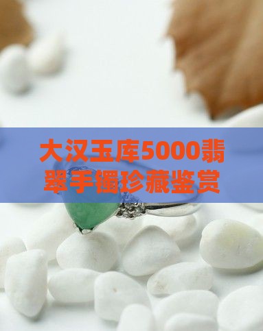 大汉玉库5000翡翠手镯珍藏鉴赏