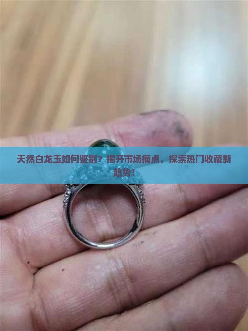 天然白龙玉如何鉴别？揭开市场痛点，探索热门收藏新趋势！