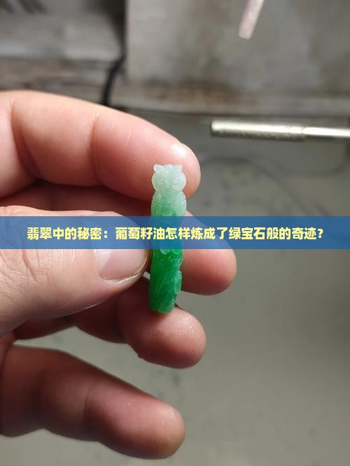 翡翠中的秘密：葡萄籽油怎样炼成了绿宝石般的奇迹？