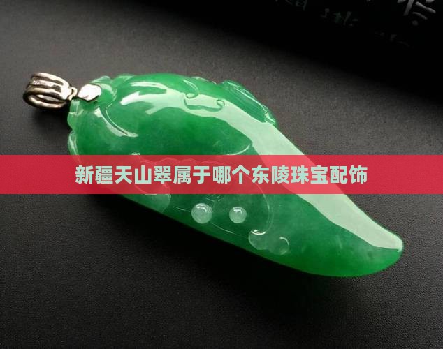 新疆天山翠属于哪个东陵珠宝配饰