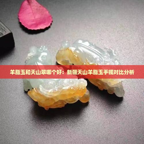 羊脂玉和天山翠哪个好：新疆天山羊脂玉手镯对比分析