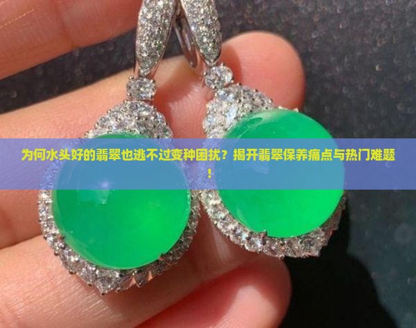 为何水头好的翡翠也逃不过变种困扰？揭开翡翠保养痛点与热门难题！