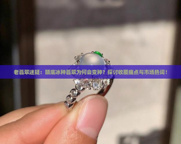 老翡翠迷疑：晴底冰种翡翠为何会变种？探讨收藏痛点与市场热词！