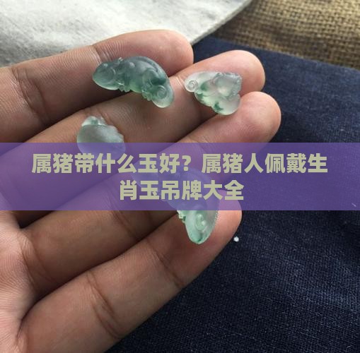 属猪带什么玉好？属猪人佩戴生肖玉吊牌大全