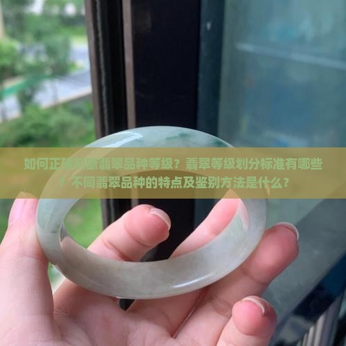 如何正确判断翡翠品种等级？翡翠等级划分标准有哪些？不同翡翠品种的特点及鉴别方法是什么？