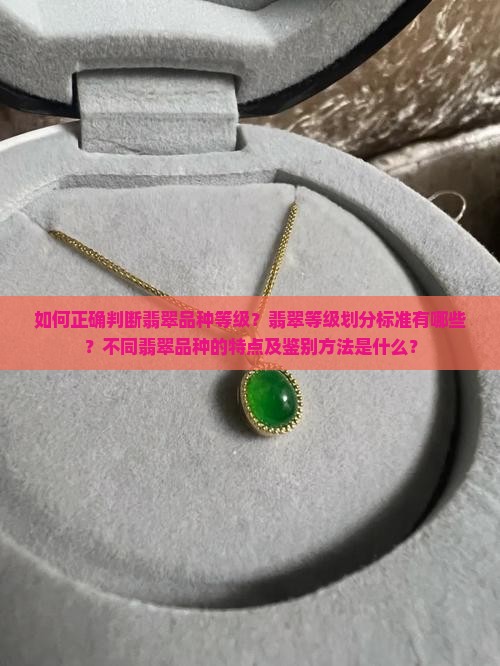 如何正确判断翡翠品种等级？翡翠等级划分标准有哪些？不同翡翠品种的特点及鉴别方法是什么？