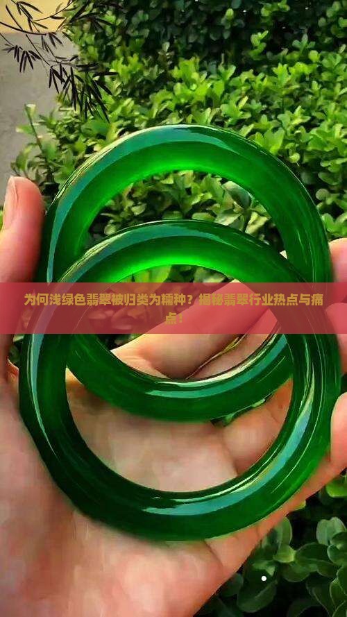 为何浅绿色翡翠被归类为糯种？揭秘翡翠行业热点与痛点！