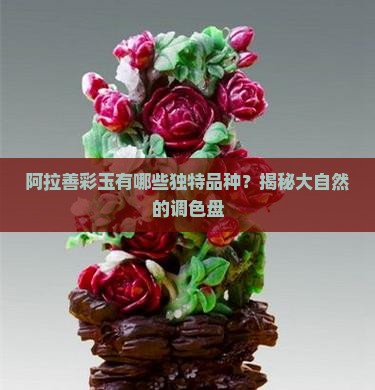 阿拉善彩玉有哪些独特品种？揭秘大自然的调色盘