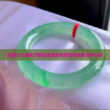 莫西沙大象皮刀砍纹老象皮壳原石特点及涨垮分析