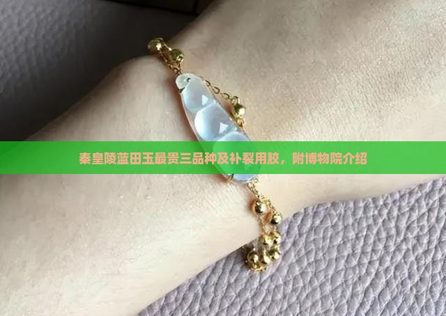 秦皇陵蓝田玉最贵三品种及补裂用胶，附博物院介绍