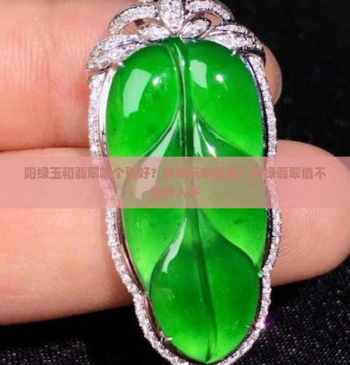 阳绿玉和翡翠哪个更好？资深玩家揭秘：阳绿翡翠值不值得入手