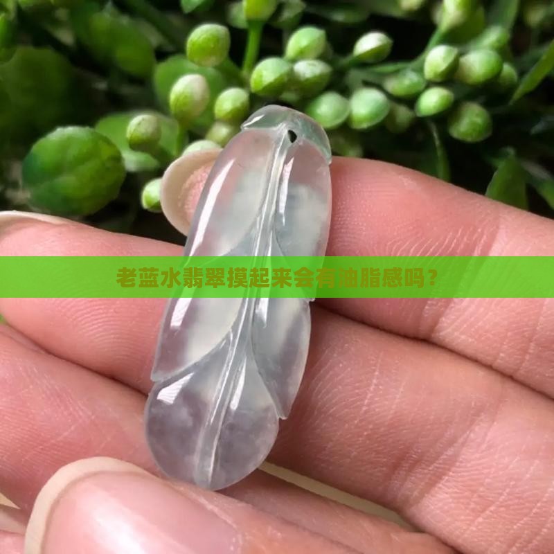 老蓝水翡翠摸起来会有油脂感吗？