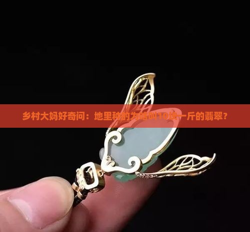 乡村大妈好奇问：地里种的为啥叫10块一斤的翡翠？
