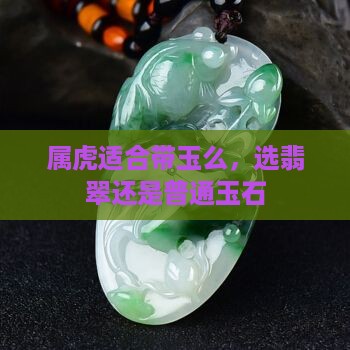 属虎适合带玉么，选翡翠还是普通玉石