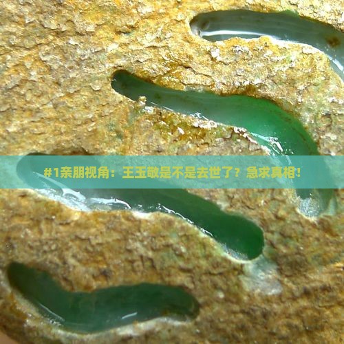 王玉敬去逝了吗