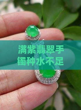 满紫的手镯没有种水