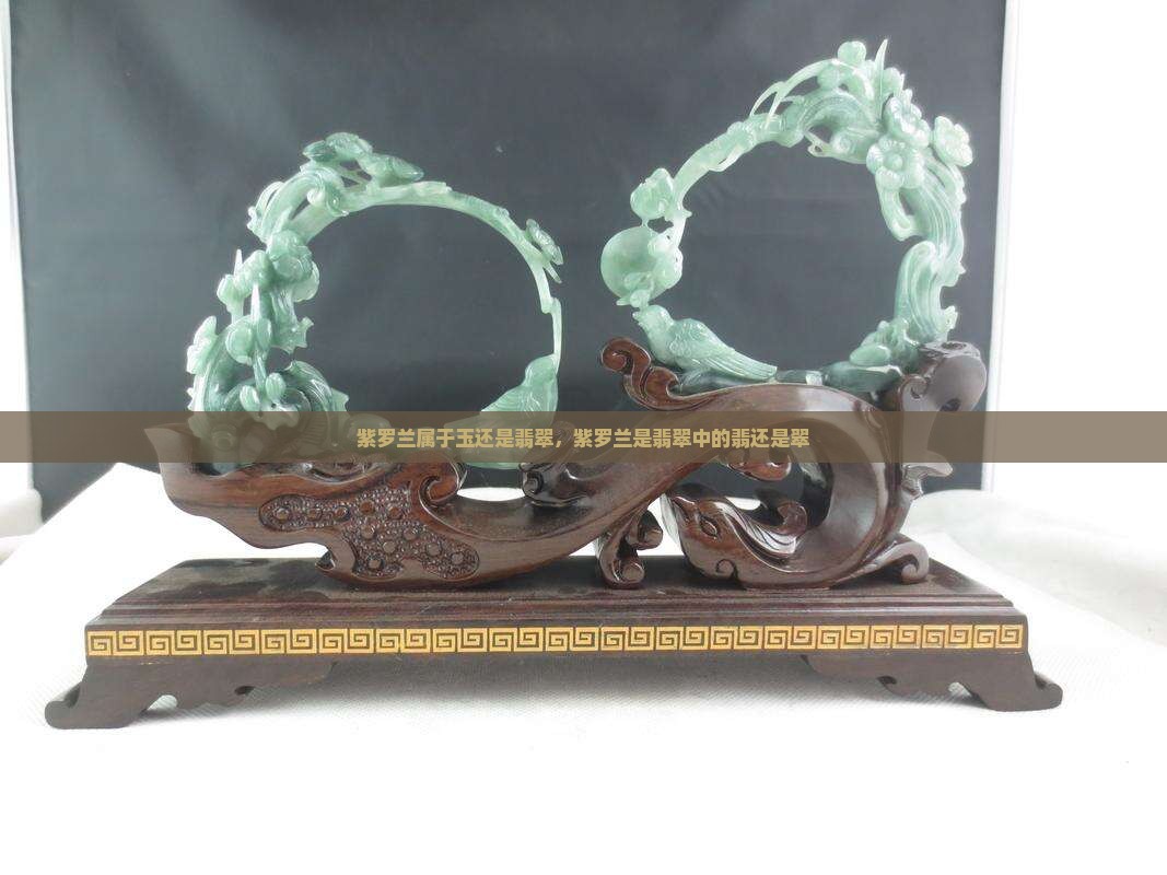 紫罗兰属于玉还是翡翠