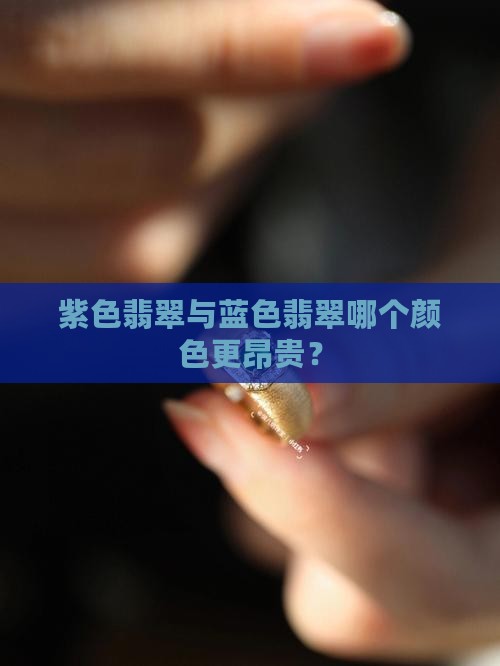 紫色翡翠和蓝色翡翠哪个贵
