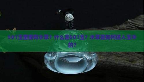 501玉里面有水草