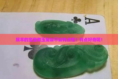 属羊的戴玉兔好不好