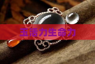 玉活力生命力