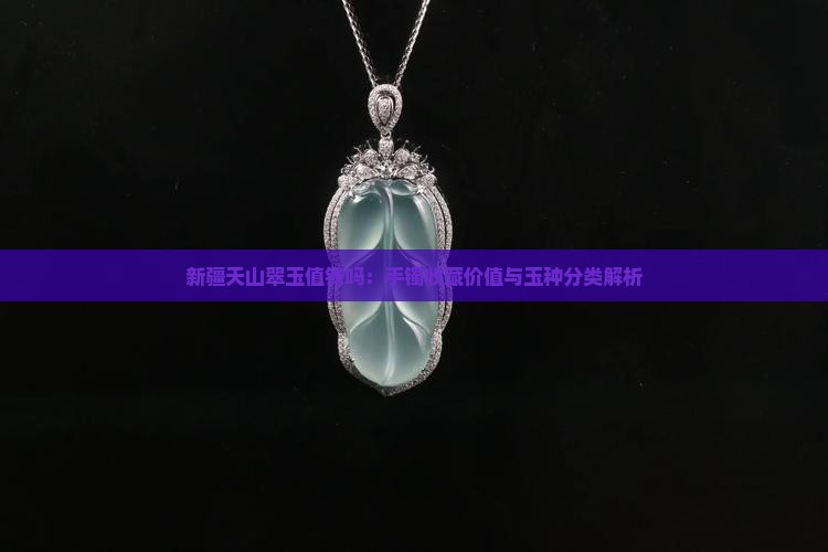 新疆天山翠玉值钱吗