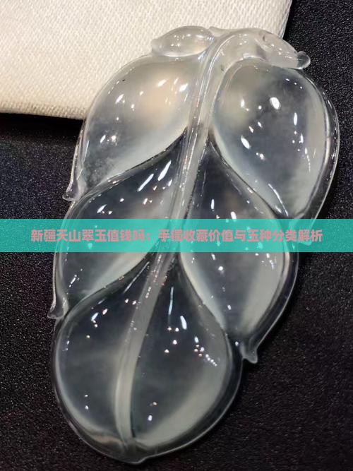 新疆天山翠玉值钱吗