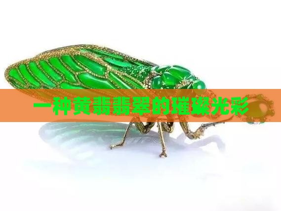 黄金色翡翠