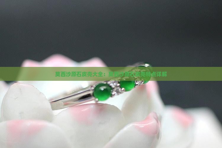 莫西沙原石皮壳大全