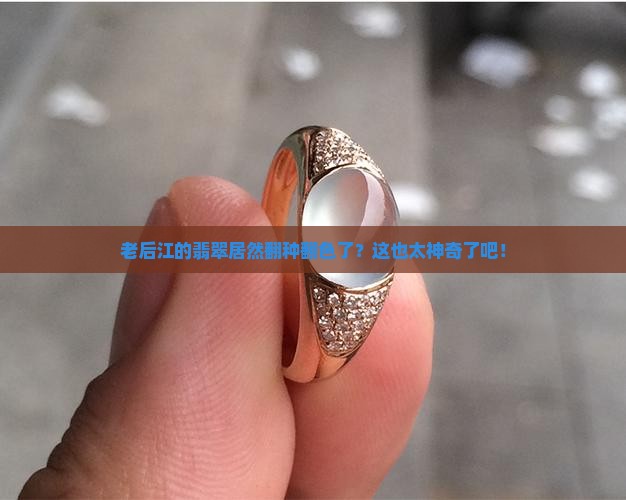 老后江翡翠翻种翻色