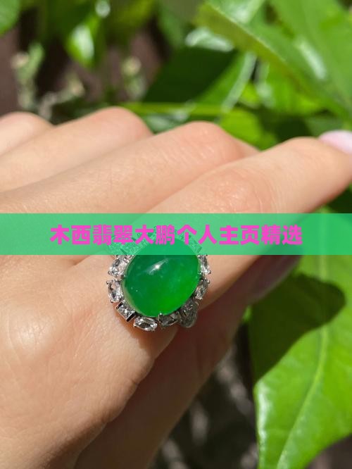 也木西翡翠大鹏