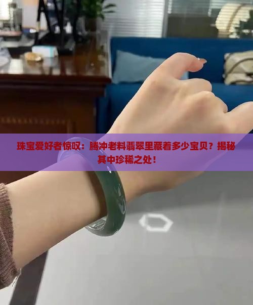 腾冲老料翡翠多宝