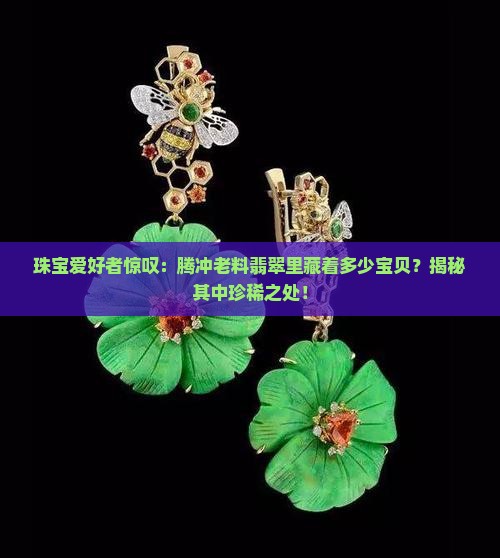 腾冲老料翡翠多宝
