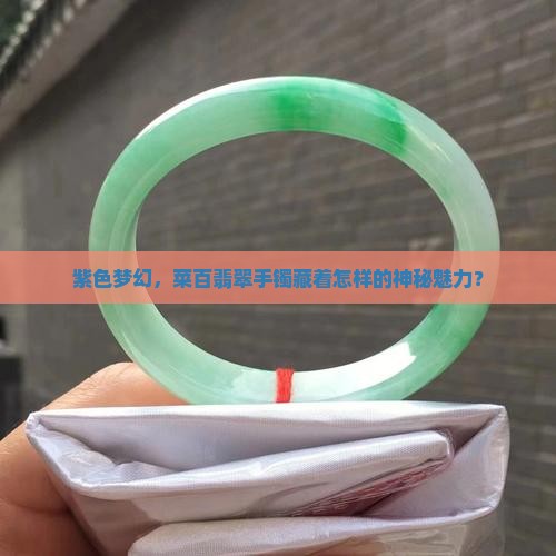 菜百的翡翠手镯怎么样紫色的手镯