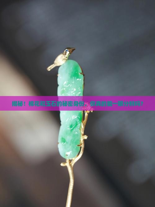 怎么区分棉和玉质结构