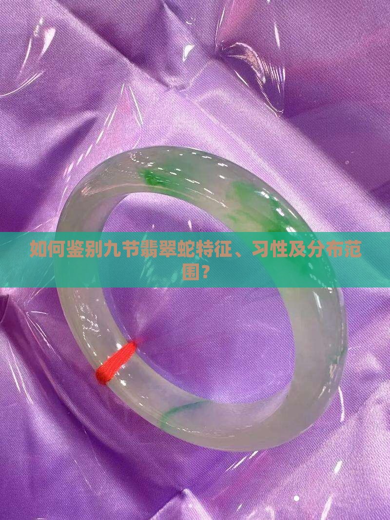 九节翡翠蛇