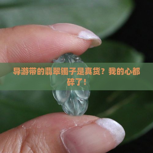 导游带着买的翡翠镯子是真的吗