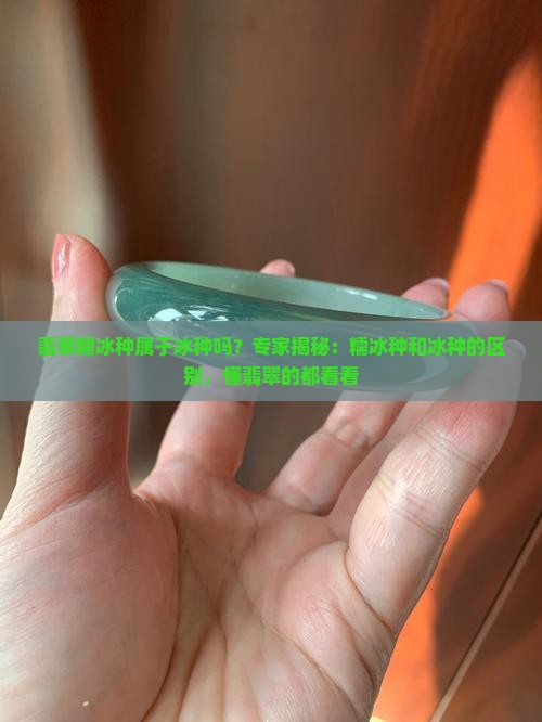 翡翠糯冰种属于冰种吗