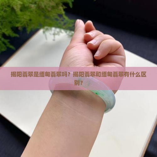 揭阳翡翠是缅甸翡翠吗