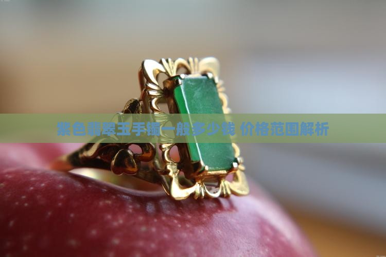 紫色翡翠玉手镯一般多少钱