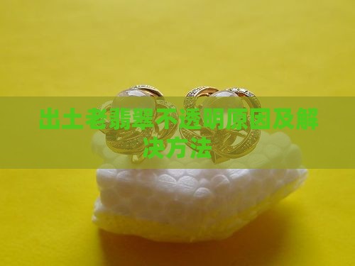 出土老翡翠不透明
