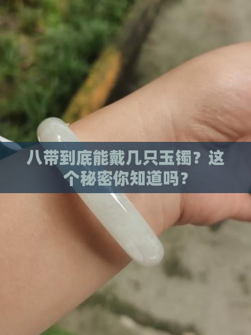 8带多少玉镯