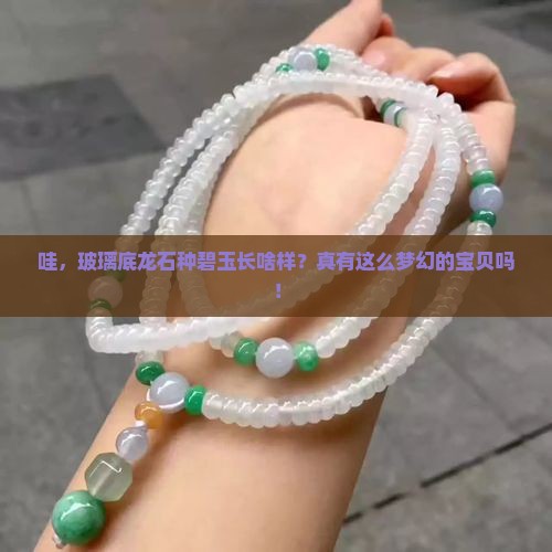 玻璃底龙石种的碧玉有吗
