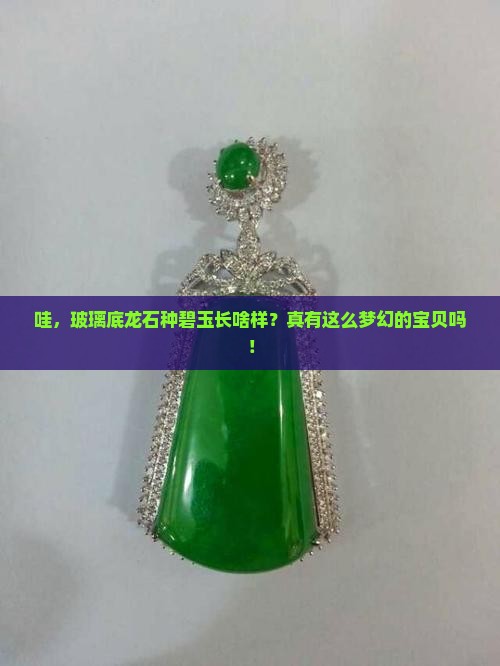 玻璃底龙石种的碧玉有吗