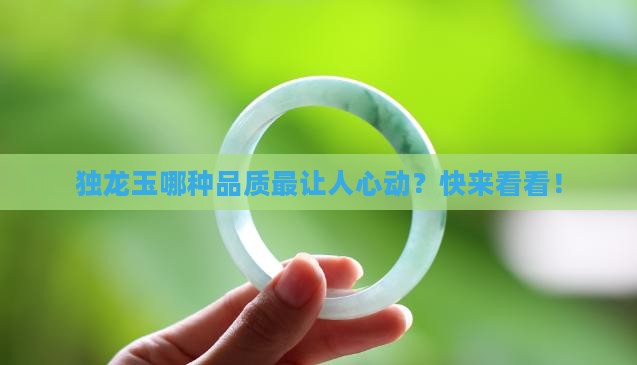 独龙玉什么样的品质最好