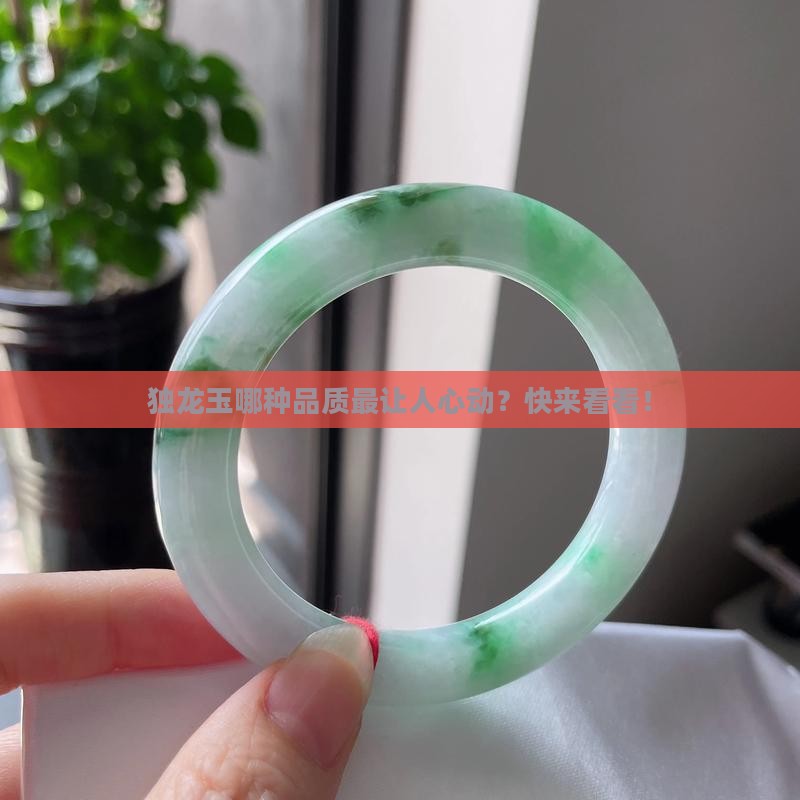 独龙玉什么样的品质最好