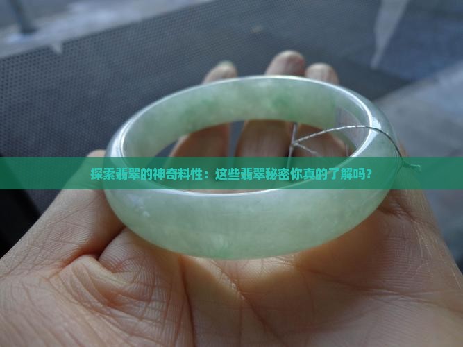 翡翠有哪些料