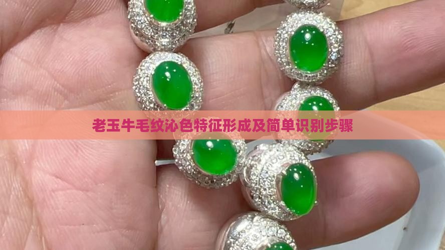 老玉牛毛纹