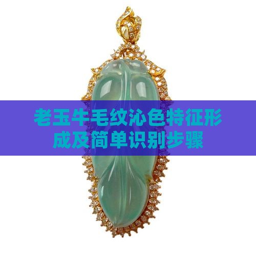 老玉牛毛纹