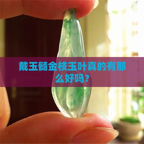 戴玉髓金枝玉叶好吗